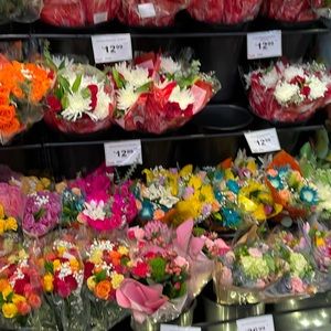 Meet your Posher, Sammy